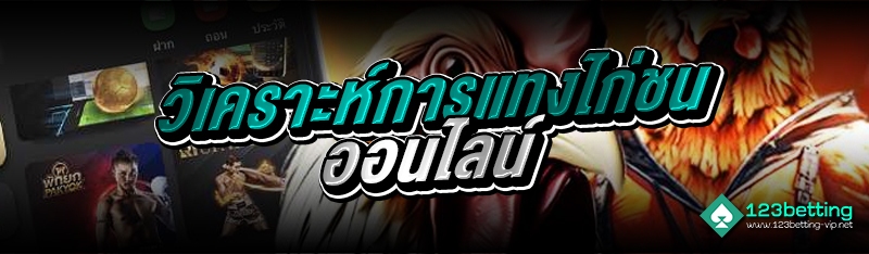 วิเคราะห์การแทงไก่ชนออนไลน์