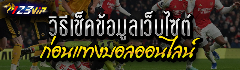 วิธีเช็คข้อมูลเว็บไซต์ก่อนแทงบอลออนไลน์